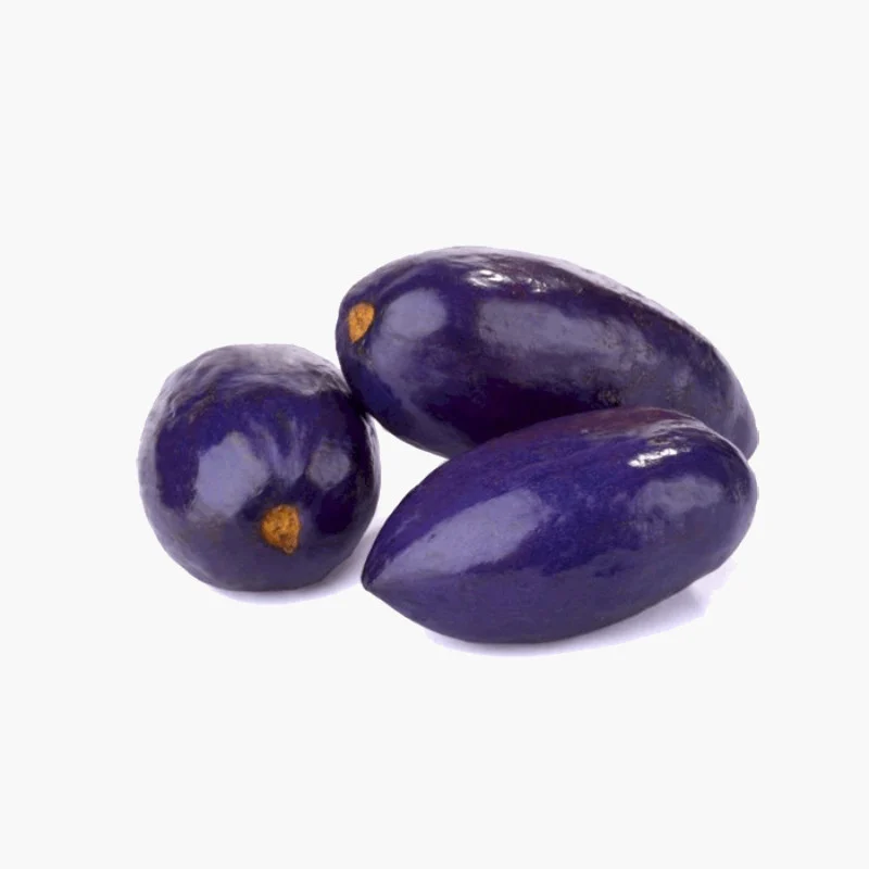 African Plum