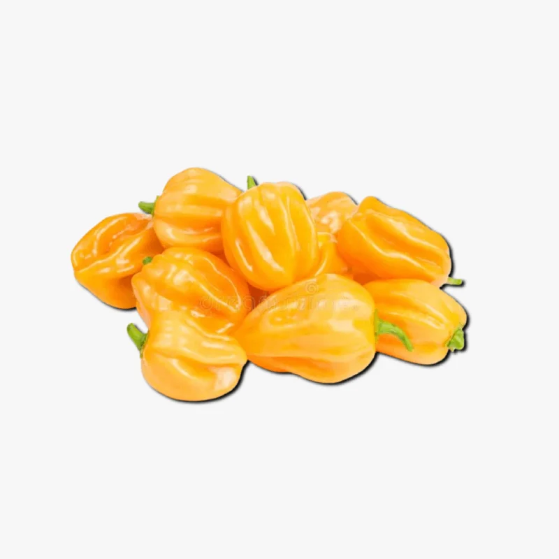 Habanero Yellow Pili Pili