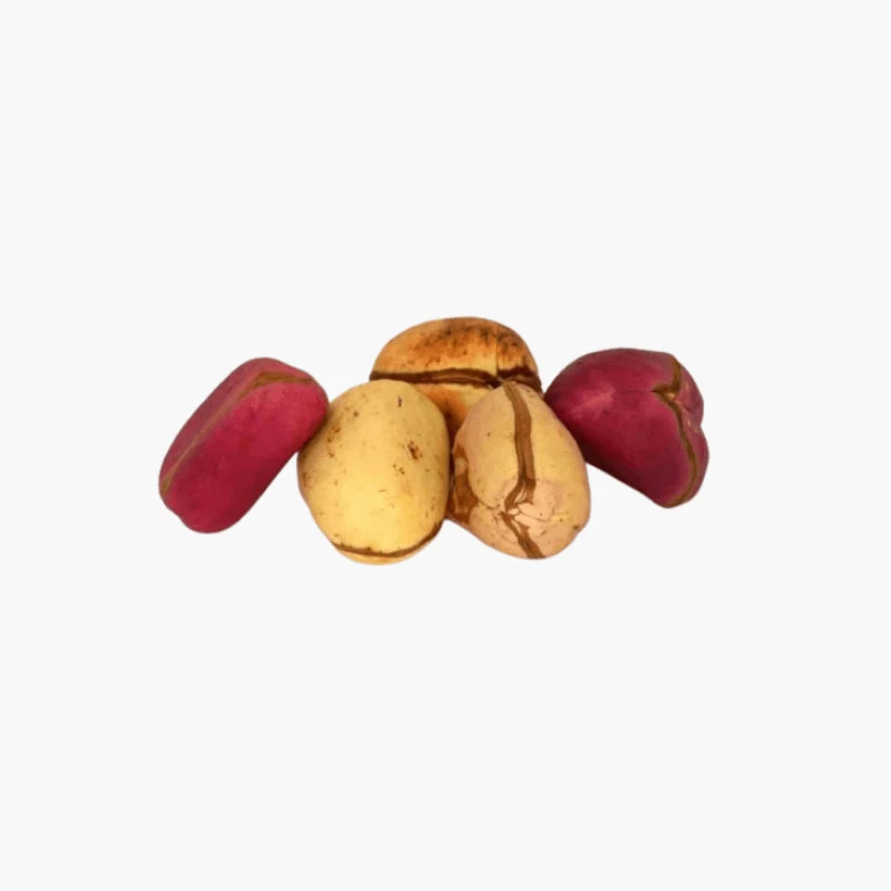 Kola Nut